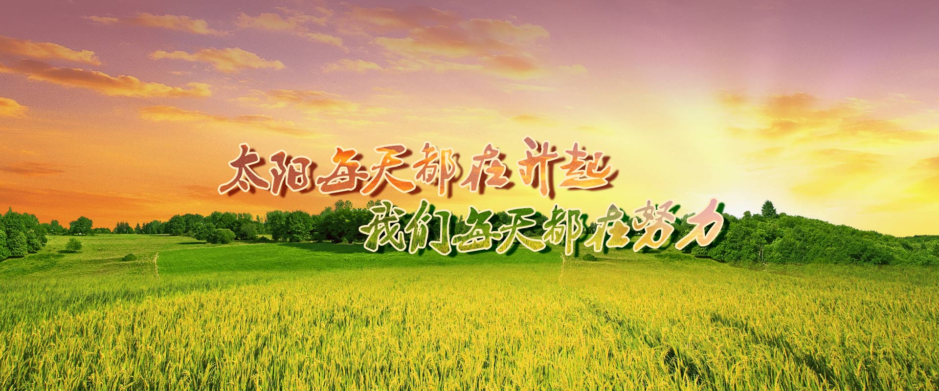 开云网页登录口