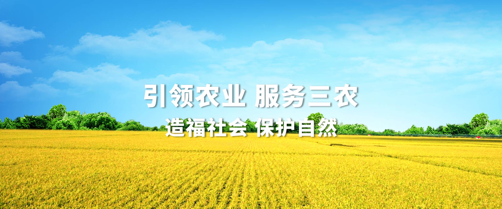 开云登录入口网页版